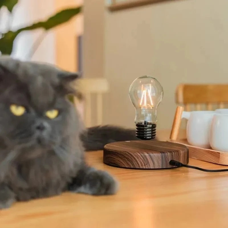 Levitating Lamp With Wooden Base