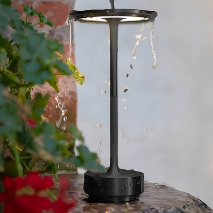 Luminous Lamp™